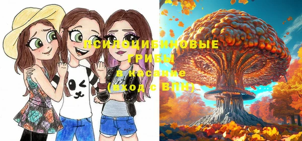 твердый Балабаново
