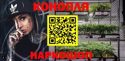 прущие грибы Тула