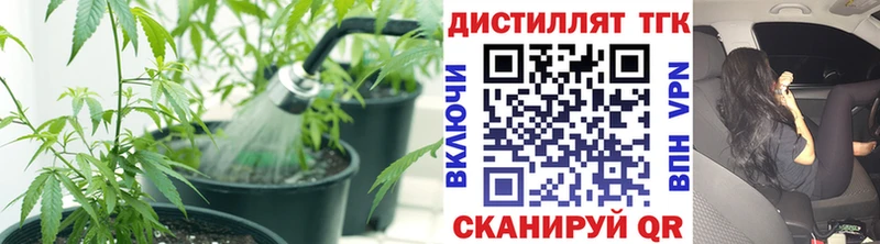 Дистиллят ТГК гашишное масло  МЕГА tor  Реутов 