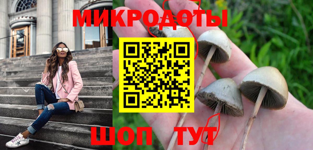 Реутов  Галлюциногенные грибы MAGIC MUSHROOMS  Вход с VPN 